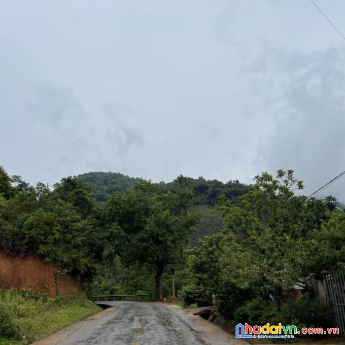 Mảnh đất đẹp gần bến xe du lịch , giá chỉ từ 2tr/m2 khai thác du lịch 4 mùa tại y tý- sapa2