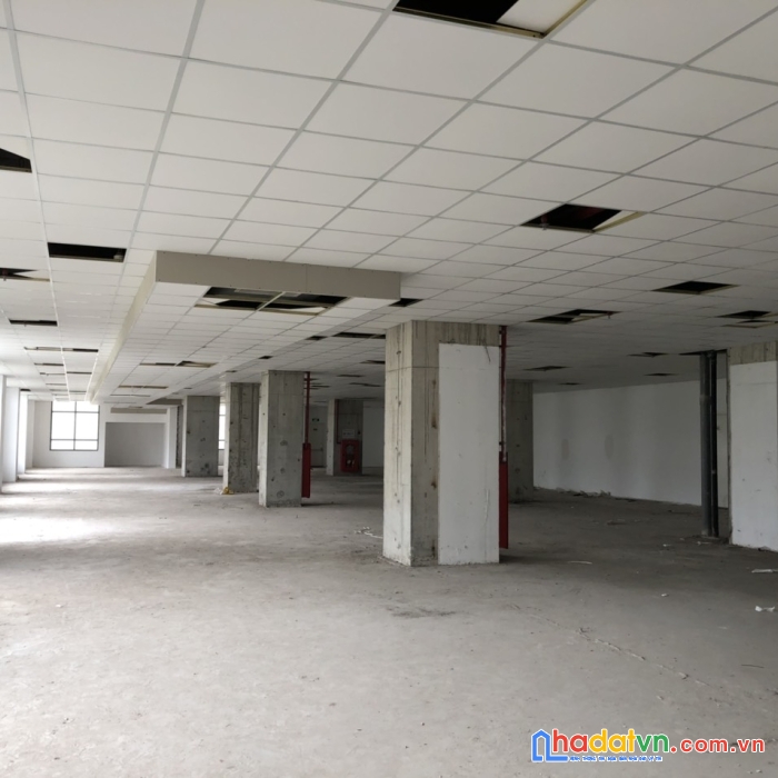 Cho thuê sàn thương mại dịch vụ