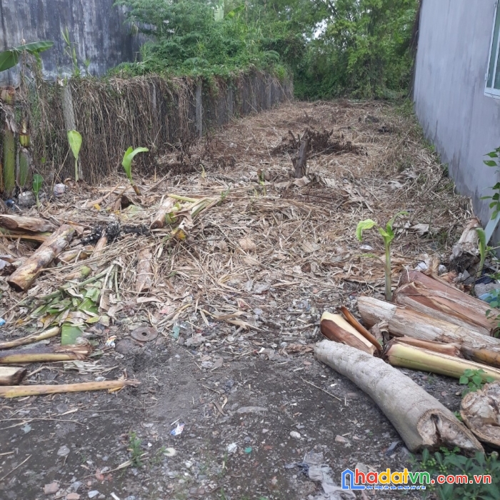 Đất tt cần giuộc, ođt ngay công viên nguyễn thái bình, ql50, giá rẻ