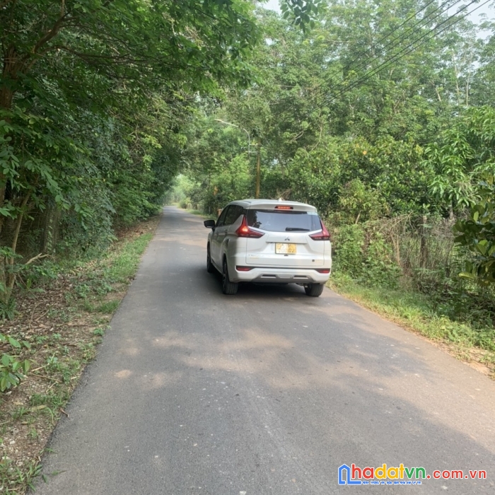 Bán 1236.5m2 đất lai uyên, cách tạo lực bắc tân uyên - phú giáo 500m