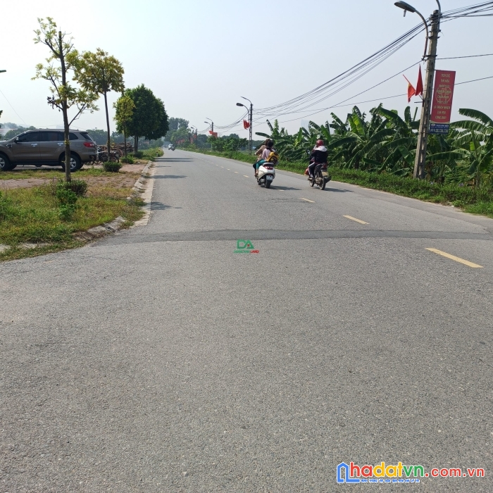 Bán đất đấu giá x1 mai hiên mai lâm đông anh