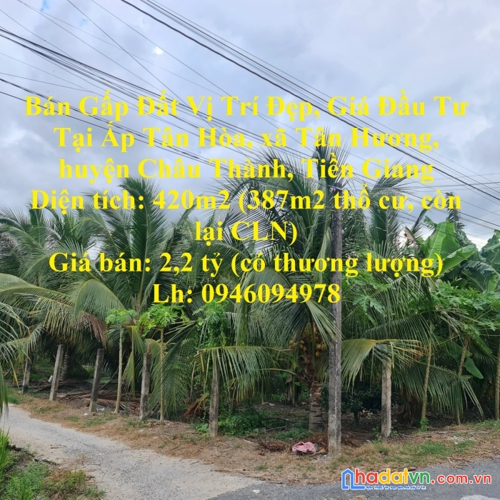 Bán gấp đất vị trí đẹp, giá đầu tư tại tân hương, châu thành tiền giang