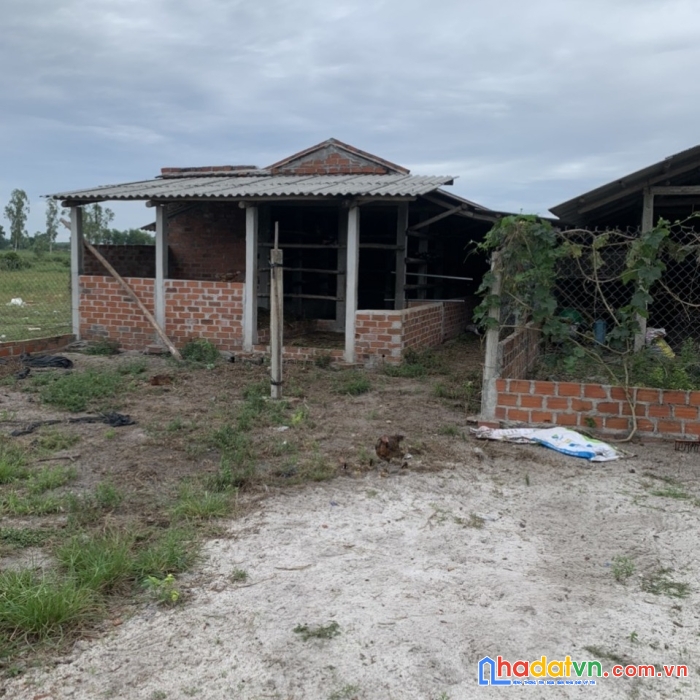 Nhanh tay sở hữu ngay lô đất vị trí đẹp tại  phù cát- bình định