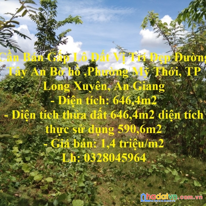 Cần bán gấp lô đất vị trí đẹp thành phố long xuyên - tỉnh an giang
