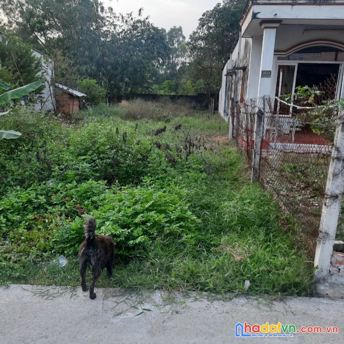 Cần bán lô đất ở xã tân thạnh đông mặt tiền đường nguyễn kim cương giá chưa tới 12triệu/m2