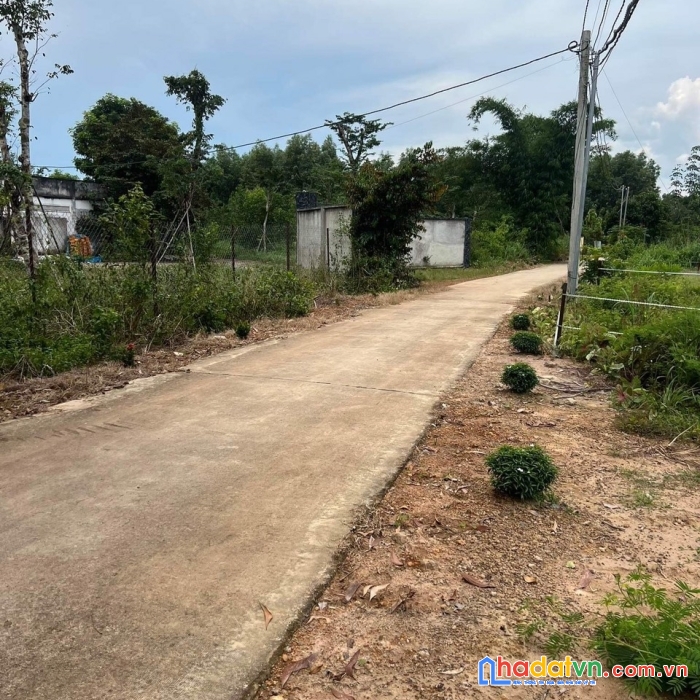 Chính chủ bán lô đất tại phú điền huyện tân phú tỉnh đồng nai