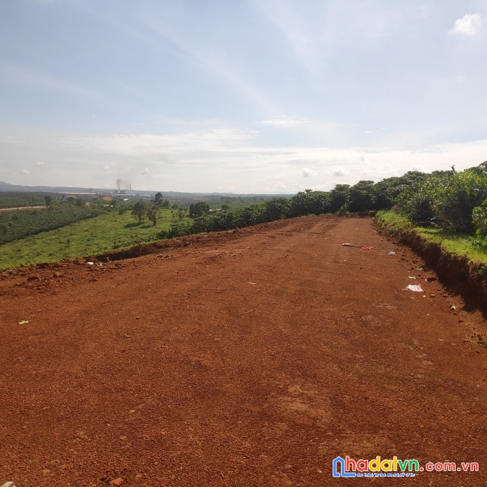 Đất sào 3tr/m2, lên được 20% thổ cư, tiện ích xung quanh đầy đủ