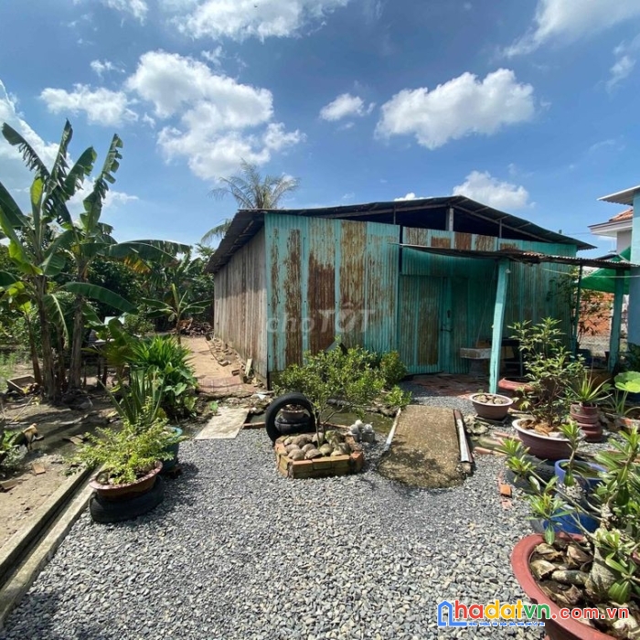 Chính chủ bán nhà đất đường 231, xã hòa phú, huyện củ chi, tp hồ chí minh