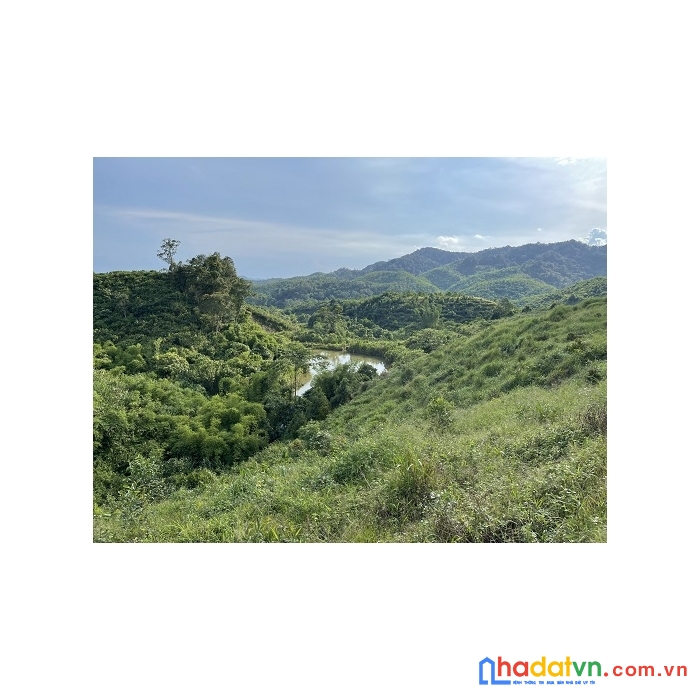 Cần bán 73hecta đất thuộc huyện bảo lâm , lâm đồng