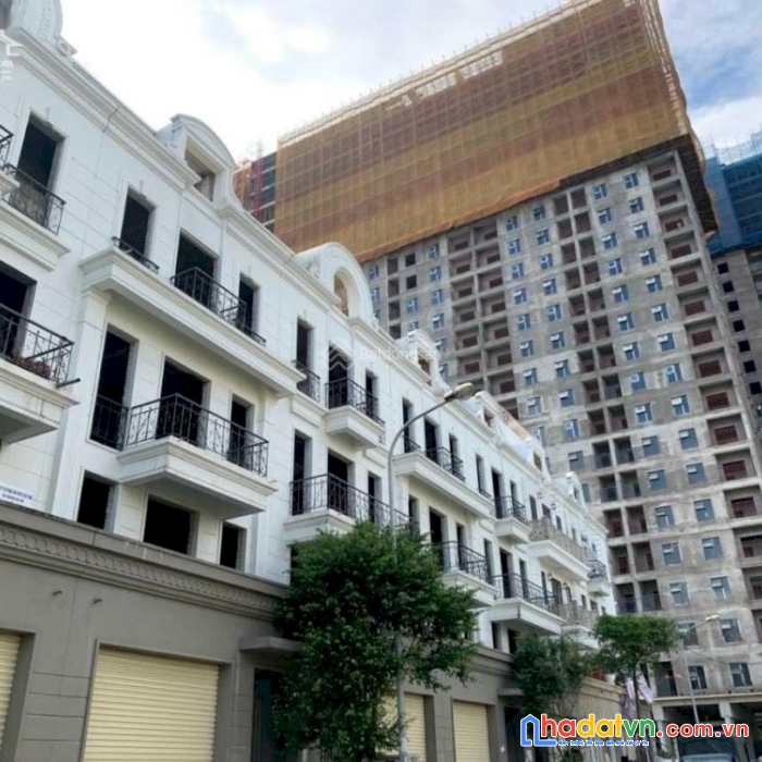 Cho thuê shophouse sông hồng-trâu quỳ, phố thành trung 30m.90m2.0982852808