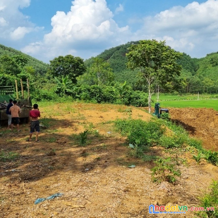 Cần bán đất ở kim bôi – hòa bình