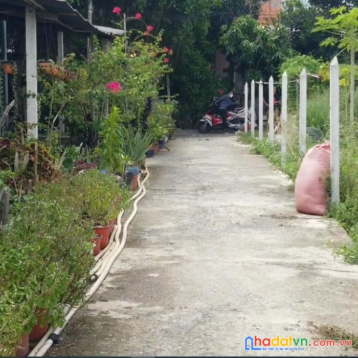 Bán đất thổ cư 208.7m² tại đường nguyễn thị bi, xã tân phú trung, huyện củ chi, tp. hồ chí minh