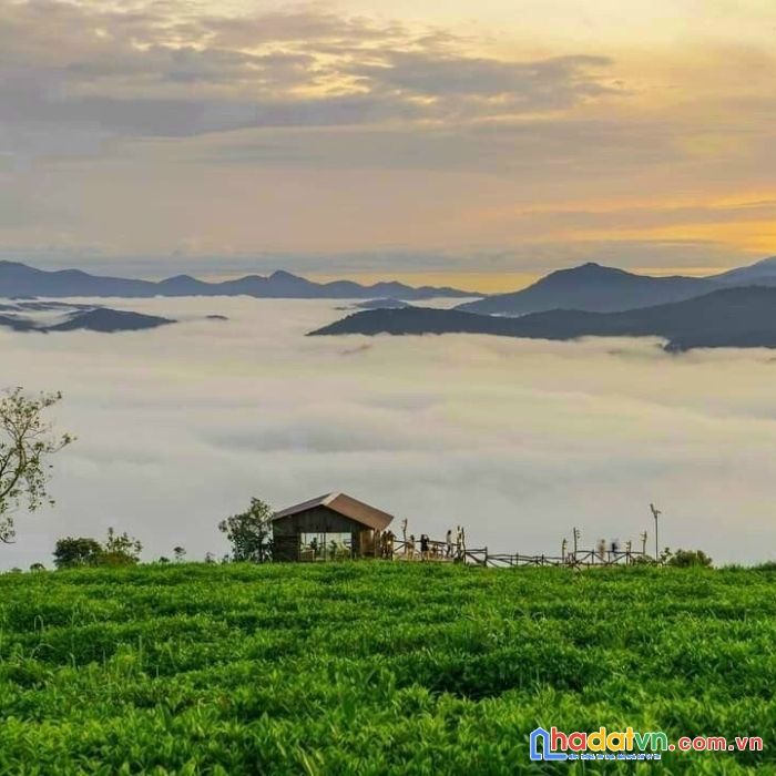 Đất bảo lộc cho nhà đầu tư - nghỉ dưỡng, lợi nhuận kép chỉ 1,9tỷ/nề