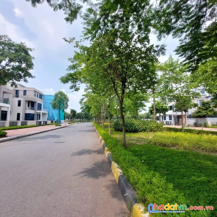 Biệt thự lan viên 2, kđt đặng xá, lô góc, phong thủy vượng - 391m2 - vị trí đỉnh, 40 tỷ