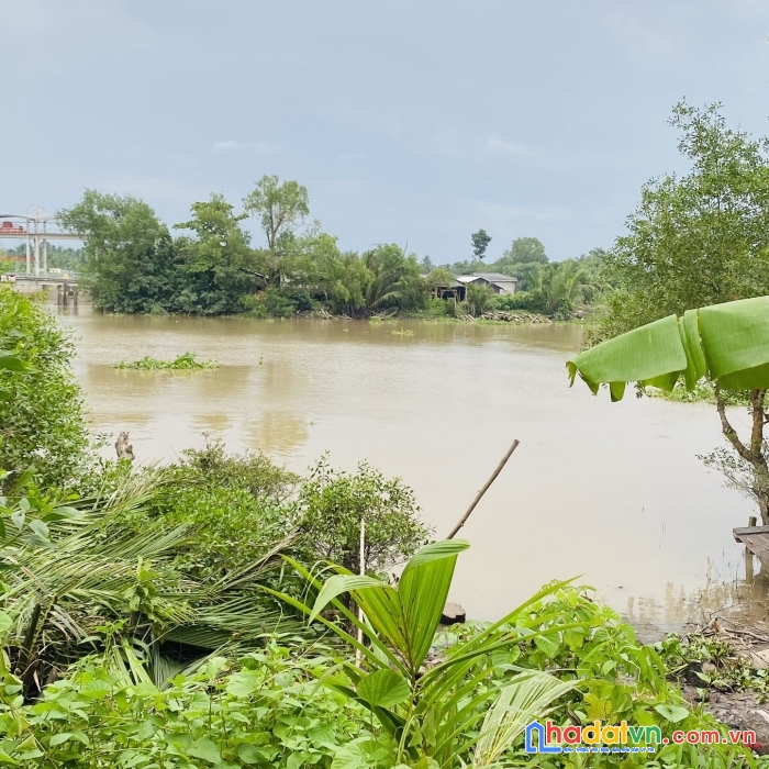 Bến tre cần bán gấp đất view sông mát mẻ, 2 mặt tiền giá rẻ nhất thị trường