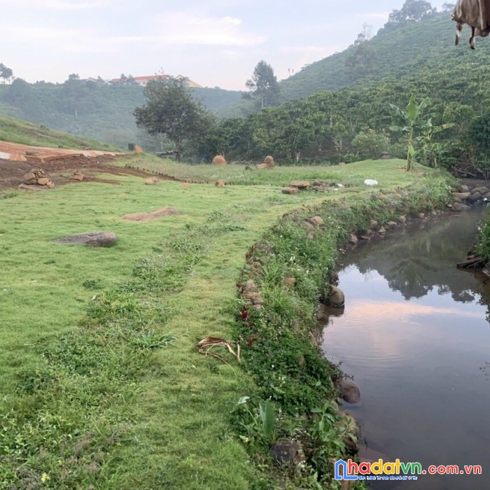 Cần bán gấp mảnh đất 150m2 trung tâm lộc quảng 970tr thổ cư