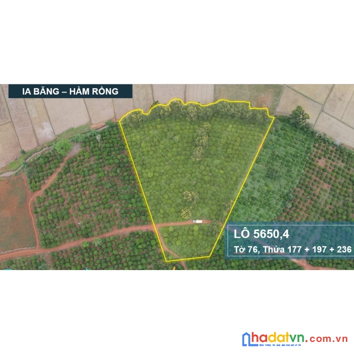 Bán 5.650m2 đất sổ đỏ tại huyện đăk đoa với giá  tỷ469, mặt đường ôtô tránh.