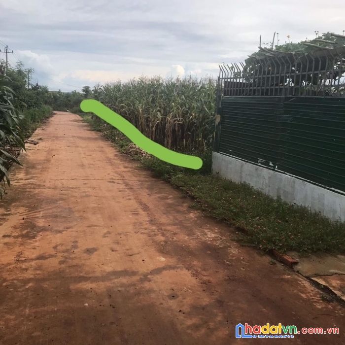 Chính chủ bán đất phường khánh xuân, tp buôn mê thuật, đăk lăk