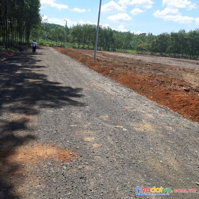  nợ ngân hàng sang gấp 6175m2,đất kdc xã phú trung thổ cư 200m2 mặt tiền đường nhựa 12m