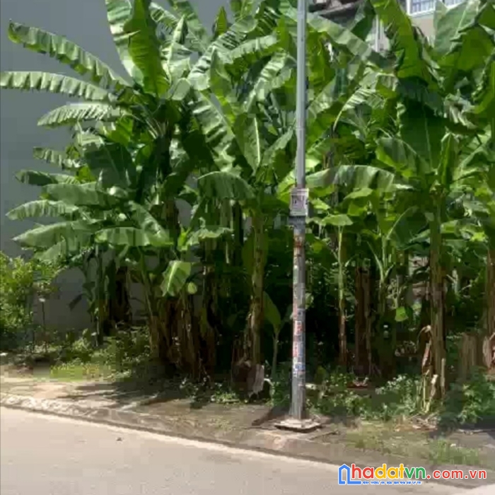 Chính chủ cần bán lô đất tại khu vực lô 7c đường lê hồng phong thuộc dự án khu đô thị mới ngã 5,