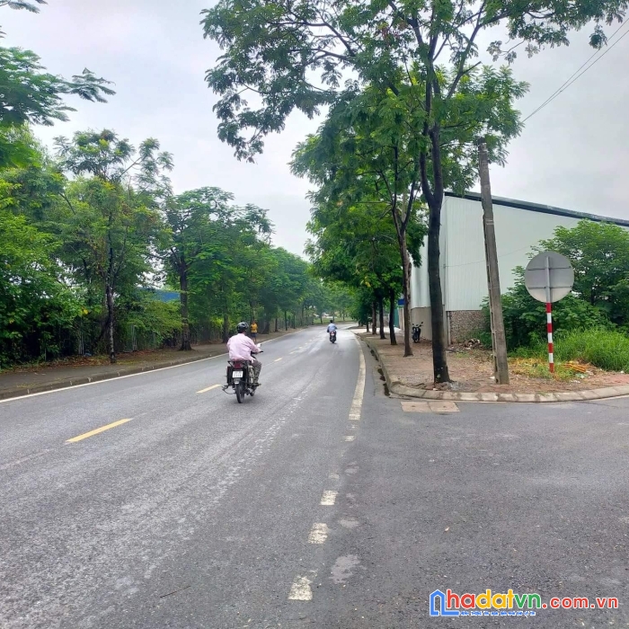 Phân lô vỉa hè ô tô buýt vào nhà cự khối 30 đất 3,2 tỷ siêu hiếm rẻ.