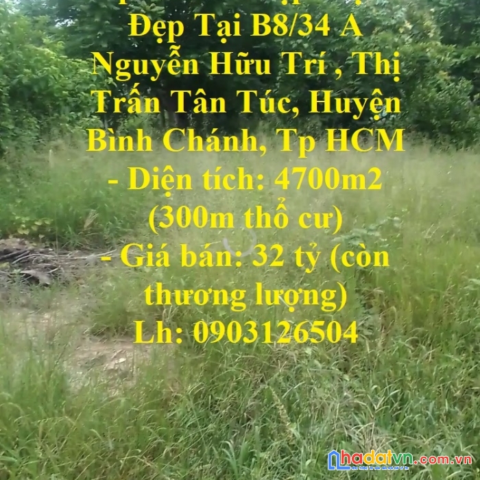 <kèo thơm> cần bán gấp lô đất đẹp -vị trí đẹp tại bình chánh-tp hcm