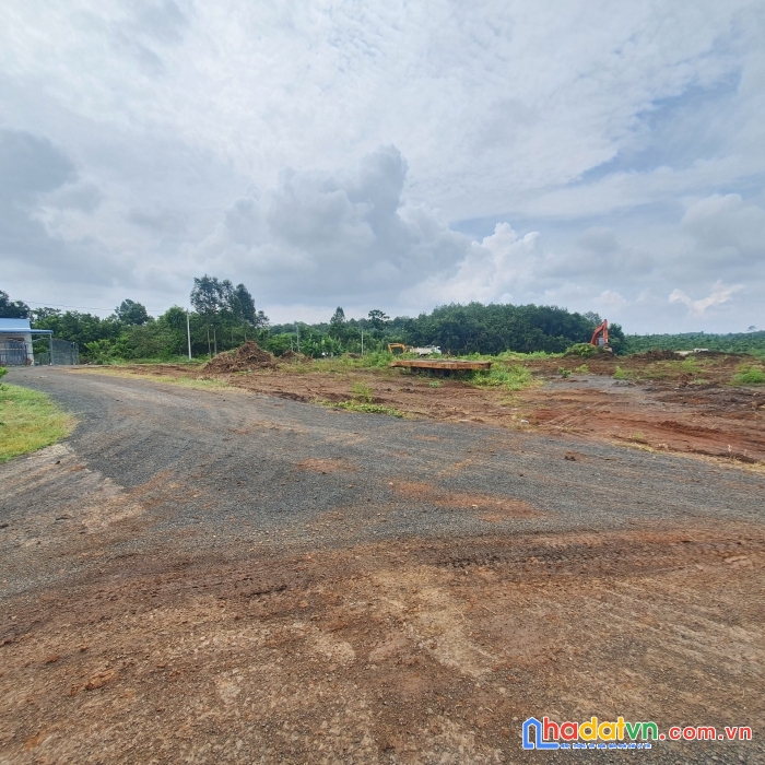 Đất trung tâm thị trấn thanh bình, khu dân cư đường nhựa 8m giá chỉ 500 triệu gần 300m2 thổ cư,