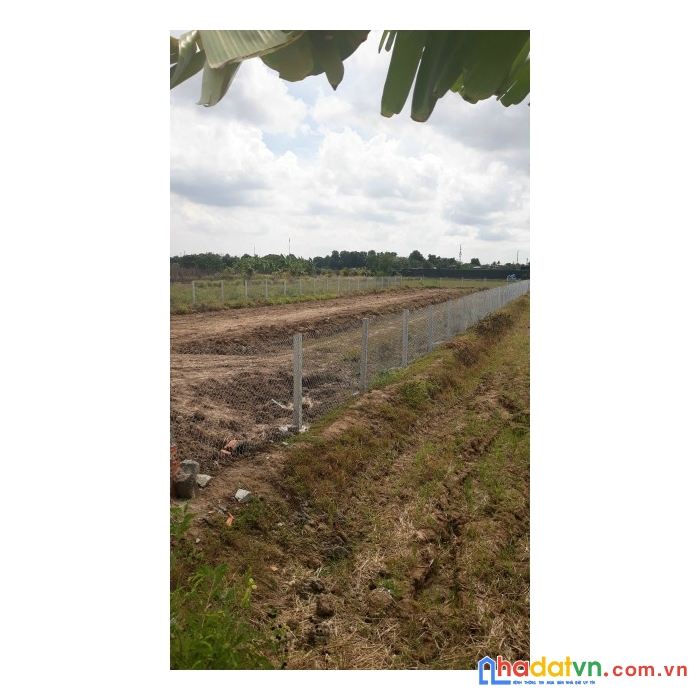 Hơn 1000m2 đất cln thuộc quy hoạch khu dân cư hiện hữu tại bình chánh