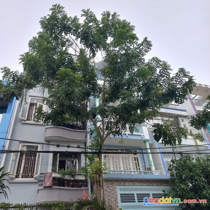 Bán nhà mặt tiền đường lê liễu, tân quý, tân phú, 84m2 chỉ 7 tỷ nhỉnh