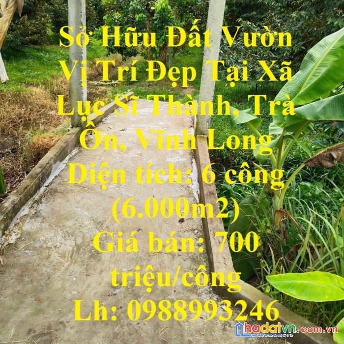 Sở hữu đất vườn vị trí đẹp tại xã lục sĩ thành, trà ôn, vĩnh long