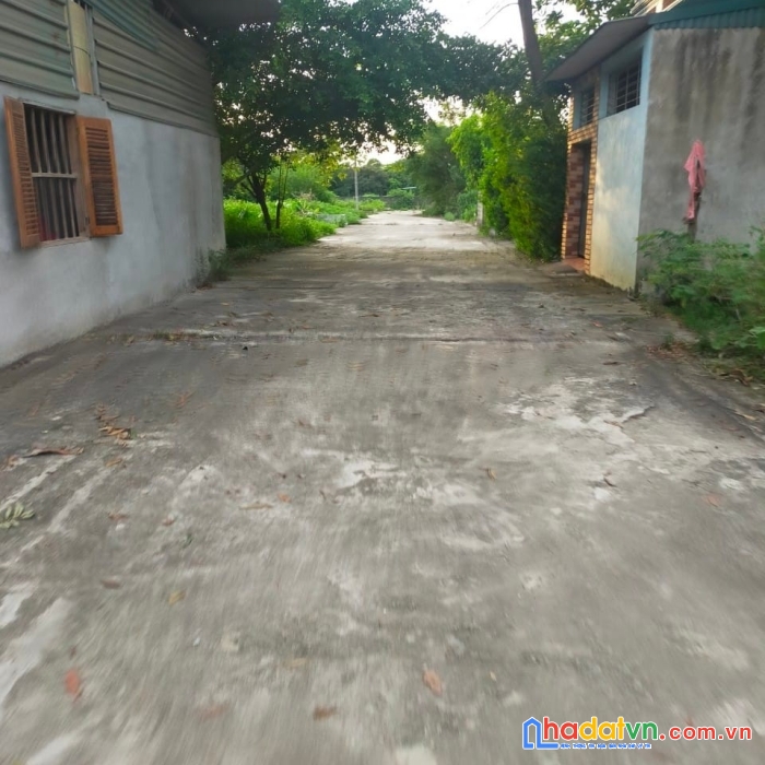 Chính chủ bán đất tặng nhà cấp 4 thủy xuân tiên chương mỹ - đường 6m - ô tô vào nhà