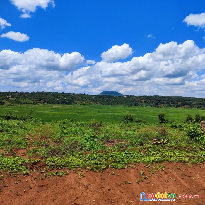 Chính chủ cần bán đất vị trí đẹp tại gia lai