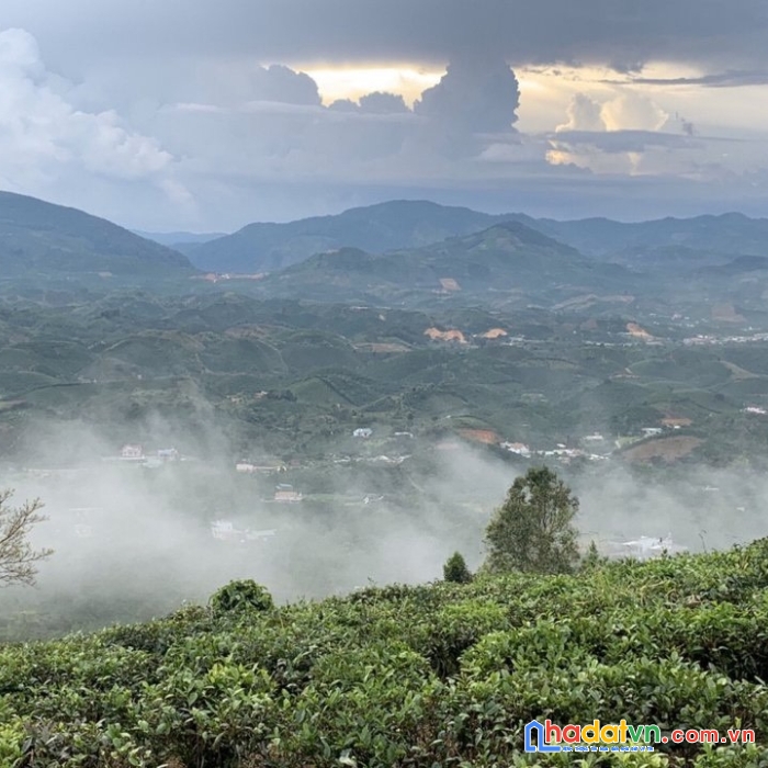 Bán gấp lô đất săn mây giá rẻ 499tr thô cư ở bảo lộc