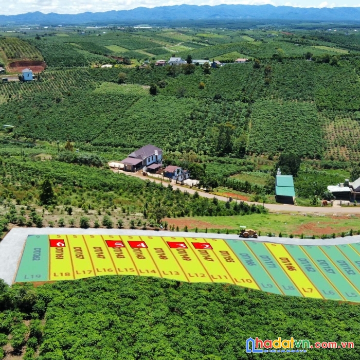 220m thổ cư, mặt tiền lạc long quân, sổ sẵn