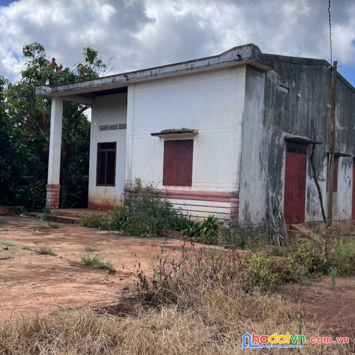 Cần bán gấp 16.179m2 đất thành phố pleiku, gia lai, sổ đỏ chính chủ.