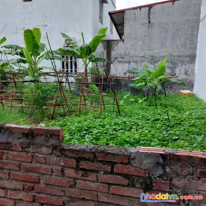60m giá 2,4 tỷ chủ cần bán gấp mảnh đất cổ linh- ngọc trì- thạch bàn-long biên.