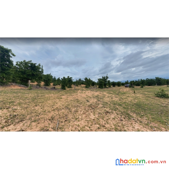 Bán lô đất cực đẹp làm famstay, trang trại đều được