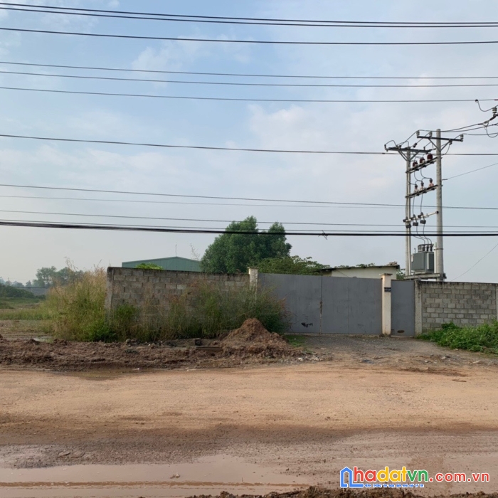 Cần bán lô đất thổ vườn tại ấp mới 1, xã mỹ hạnh nam, huyện đức hoà, tỉnh long an.