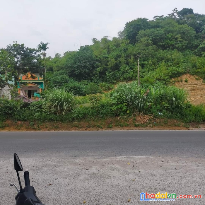 Bán đất lương sơn hòa bình -  lô góc - đường 6m -  các đường hcm 400m giá 1.4tr/m