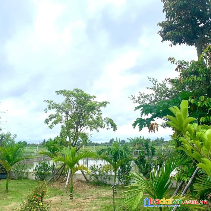 Lô đất 2100m2  tại hòa nghĩa, dương kinh giá chỉ 3.5 tr.m2 đường 6m
