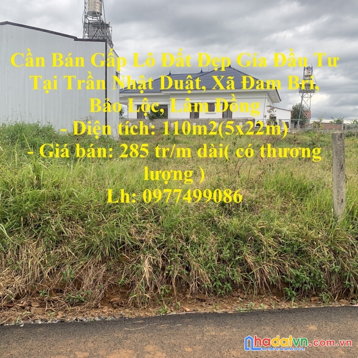 Cần bán gấp lô đất đẹp gía đầu tư tại trần nhật duật, xã đam bri, bảo lộc, lâm đồng