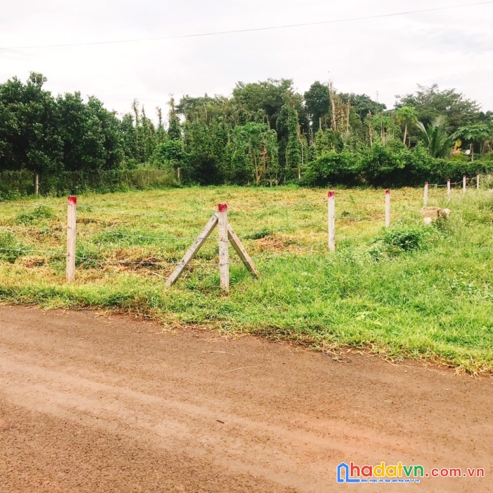 Sở hữu ngay lô đất biệt thự, nhà vườn vị trí đẹp sứng tầm siêu phẩm tại bà rịa – vũng tàu