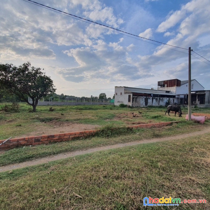 Bán đất nông nghiệp 688.8m², tại đường tỉnh lộ 7, xã phước thạnh, huyện củ chi, tp. hồ chí minh