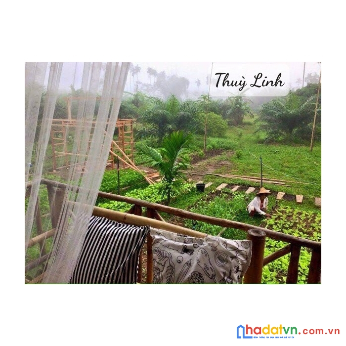 Dừng lại! đừng tìm nữa, đây là lựa chọn của bạn rồi!