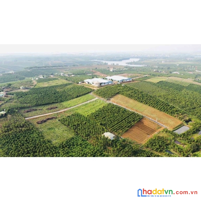Lô đất đầu tư, nghỉ dưỡng chỉ từ 800 triệu ngay tại tp. bảo lộc