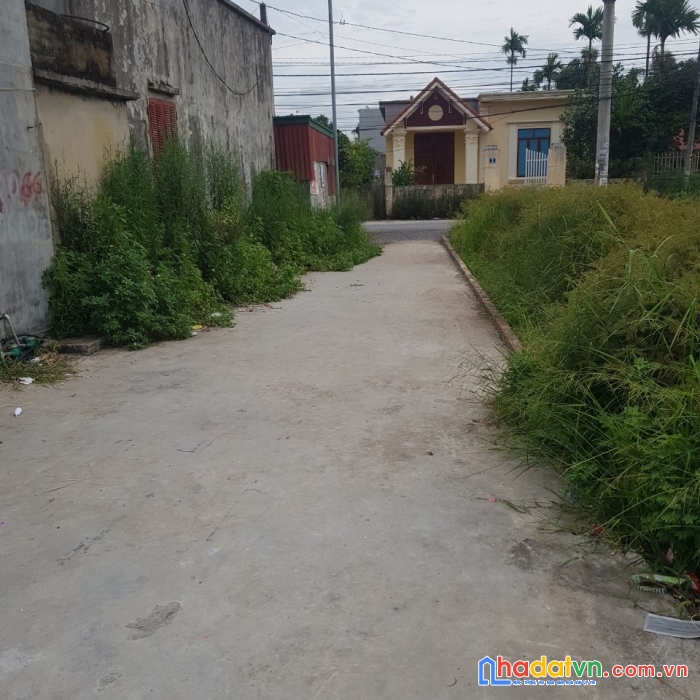 Đầu tư tạo dòng tiền. 200m2 lô góc cón sẵn 5 nhà trọ tại tiểu trà, hưng đạo. giá 2,x tỷ