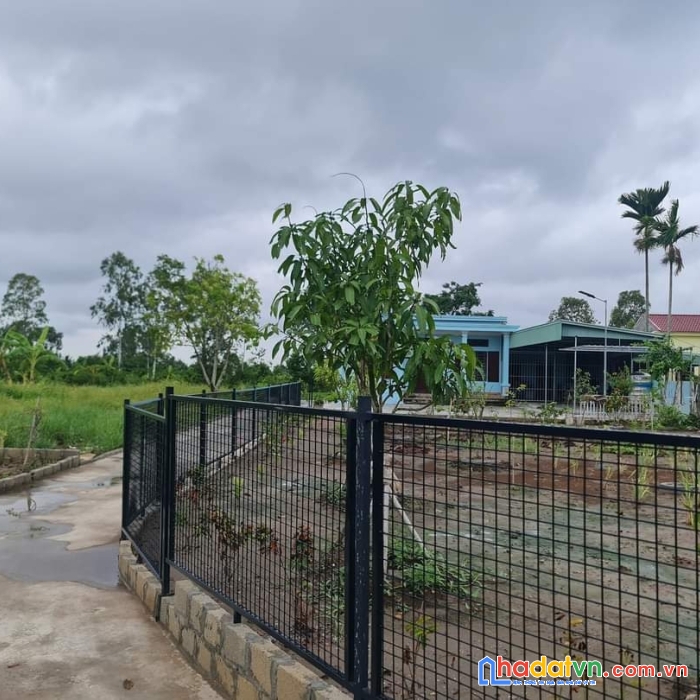 ✅  ngõ 332 tư thủy 61,6m giá 6xx tr  hòa nghĩa dương kinh