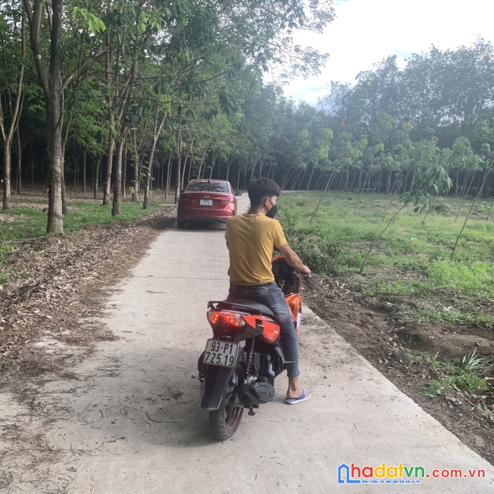 Chính chủ cần bán gấp 4 lô đất vị trí đẹp tại huyện đồng phú- tỉnh bình phước