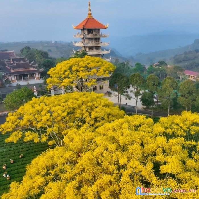 Cần bán gấp trước trung thu. mong gặp khách thiện chí!