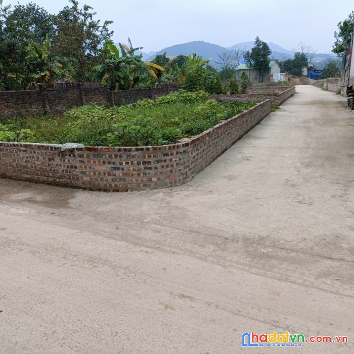 Chính chủ cần thanh khoản gấp lô đất 139m2 tại phú ninh minh phú sóc sơn  - lh - 0399786838